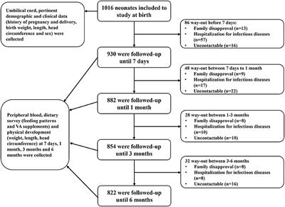 Changes in Vitamin A Levels and the Effect of Early Vitamin A Supplementation on Vitamin A Levels in Infants Throughout the First 6 Months of Life: A Prospective Cohort Study in Chongqing, China